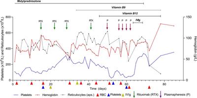Case report: Autoimmune hemolytic anemia caused by warm and cold autoantibodies with complement activation—etiological and therapeutic issues